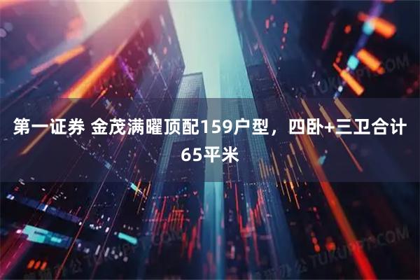 第一证券 金茂满曜顶配159户型，四卧+三卫合计65平米