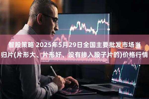 智股策略 2025年5月29日全国主要批发市场当归片(片形大、片形好、没有掺入股子片的)价格行情