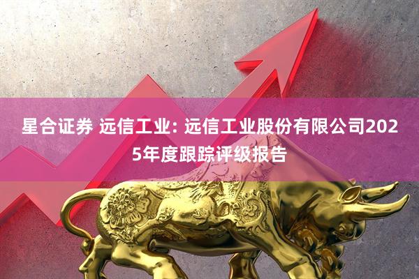 星合证券 远信工业: 远信工业股份有限公司2025年度跟踪评级报告