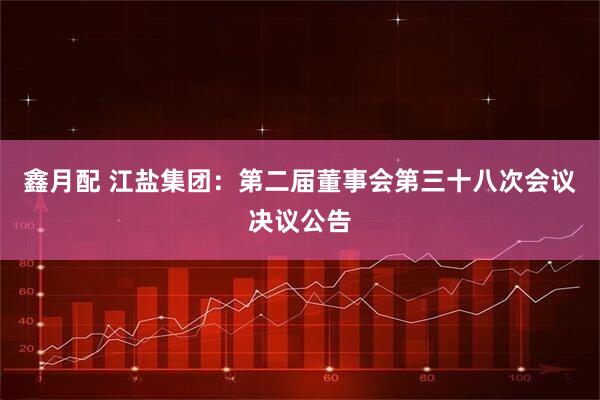 鑫月配 江盐集团：第二届董事会第三十八次会议决议公告