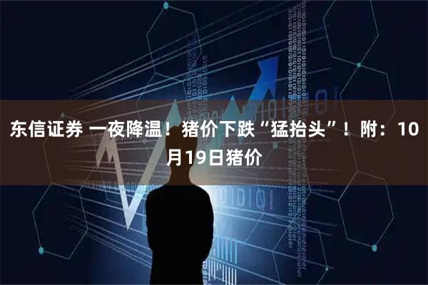 东信证券 一夜降温！猪价下跌“猛抬头”！附：10月19日猪价