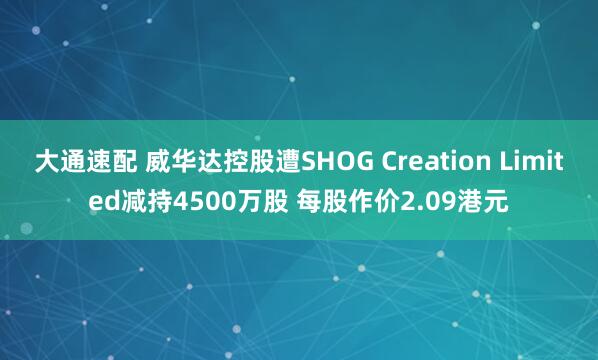 大通速配 威华达控股遭SHOG Creation Limited减持4500万股 每股作价2.09港元
